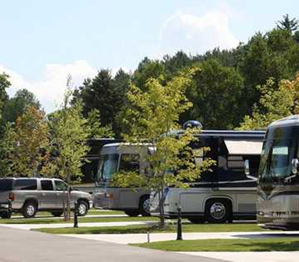 A parking lot with cars and buses surrounded by trees and greenery.