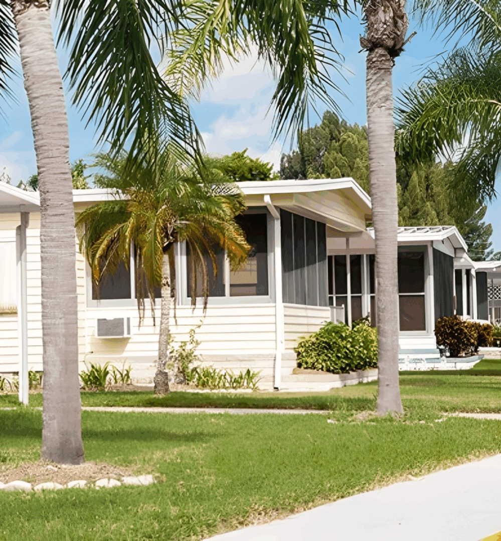 A row of mobile homes surrounded by palm trees on a sunny day.