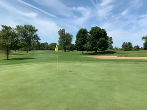Golf course green with flagstick and trees under a partly cloudy sky.
